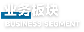 业务板块